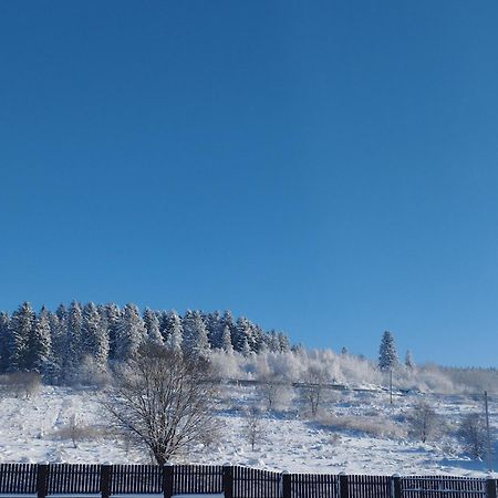 Перлина Карпат Apartman Skhidnytsia Kültér fotó